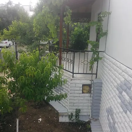 Kazdag Tribleks Akçay